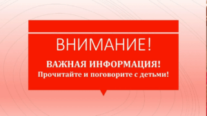 Прокуратура Петербургского метрополитена направила в наш колледж официальные разъяснения по важным темам. Просим вас внимательно ознакомиться с информацией.