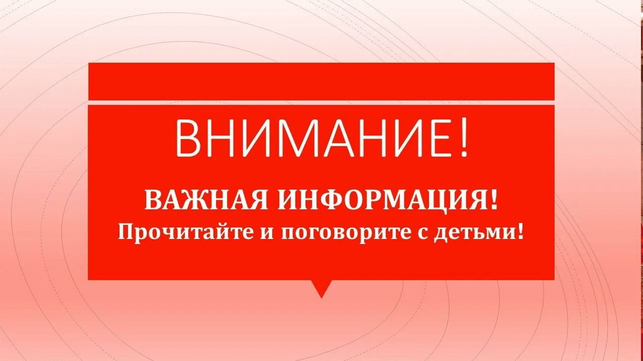 Прокуратура Петербургского метрополитена направила в наш колледж официальные разъяснения по важным темам. Просим вас внимательно ознакомиться с информацией.